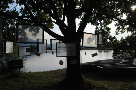 Kunstprojekt von Schülern an den FOS-Tagen: In einem Baum hängende Bilderrahmen